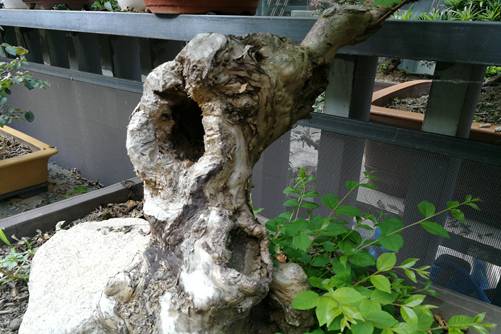 SK2久久午夜夜伦鲁鲁片app，揭秘女性护肤圣品的神秘力量与科学魅力