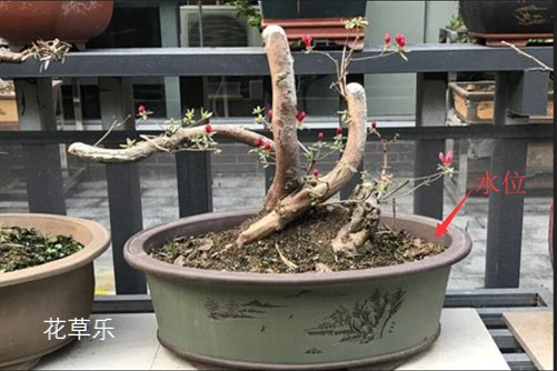 佳能镜头介绍18一135国产精品丰满人妻av麻豆，佳能镜头介绍18-135mm的全方位解析
