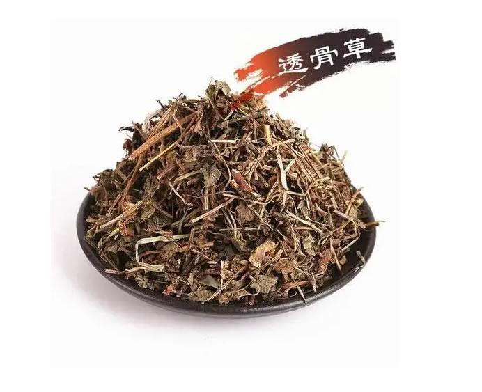 看动漫神器国产美女嫩模在线播放，解锁你的二次元世界新体验