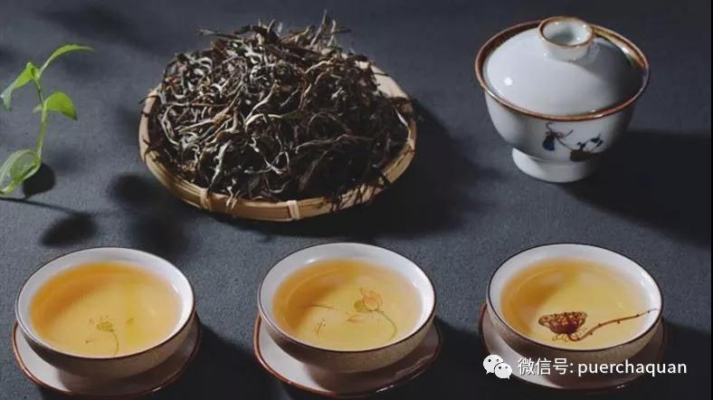 微距镜头上的标志午夜在线观看免费观看视频，揭示微观世界中的无尽秘密